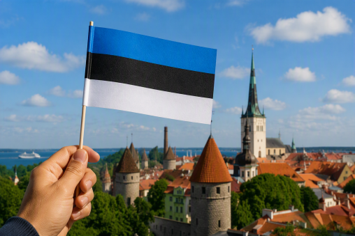 Papierfahnen Estland mit Holzstab, Estland Fahne, Estland Fähnchen, Papierfähnchen Estland, Estland Nationalflagge, Länderfahnen Estland, Fanartikel Estland, Estland Dekoration, Estland Flaggen kaufen, Estland Papierfahnen.